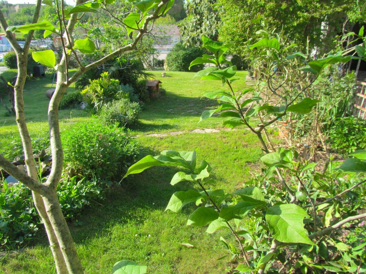 Apartman Ladybird Pola Esterno foto